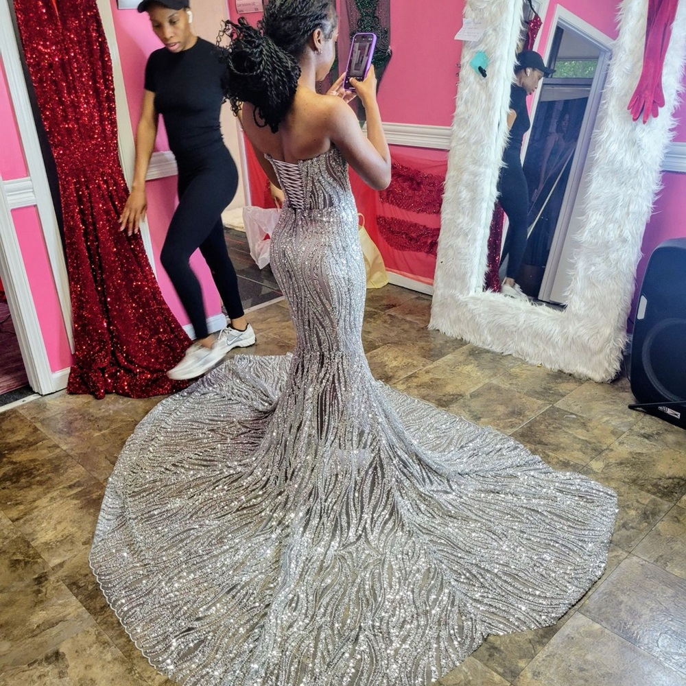 Silver Custom Prom Dress (please read the description)